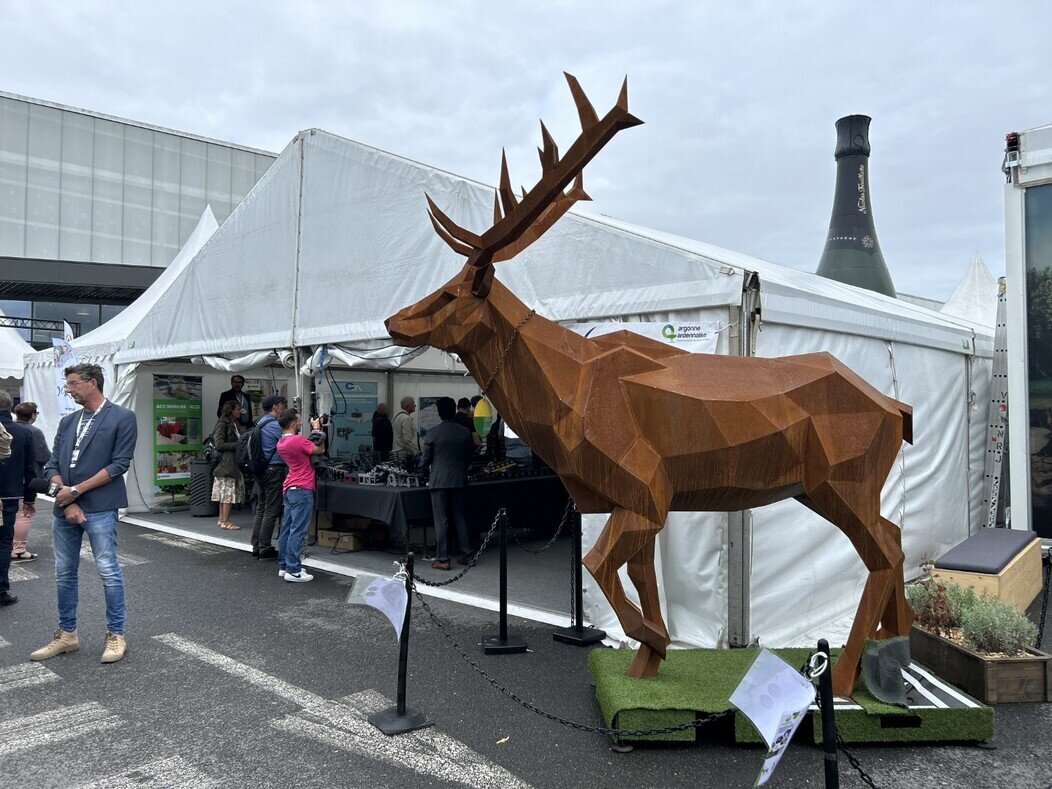 Photo du Cerf en acier de Tolecma
