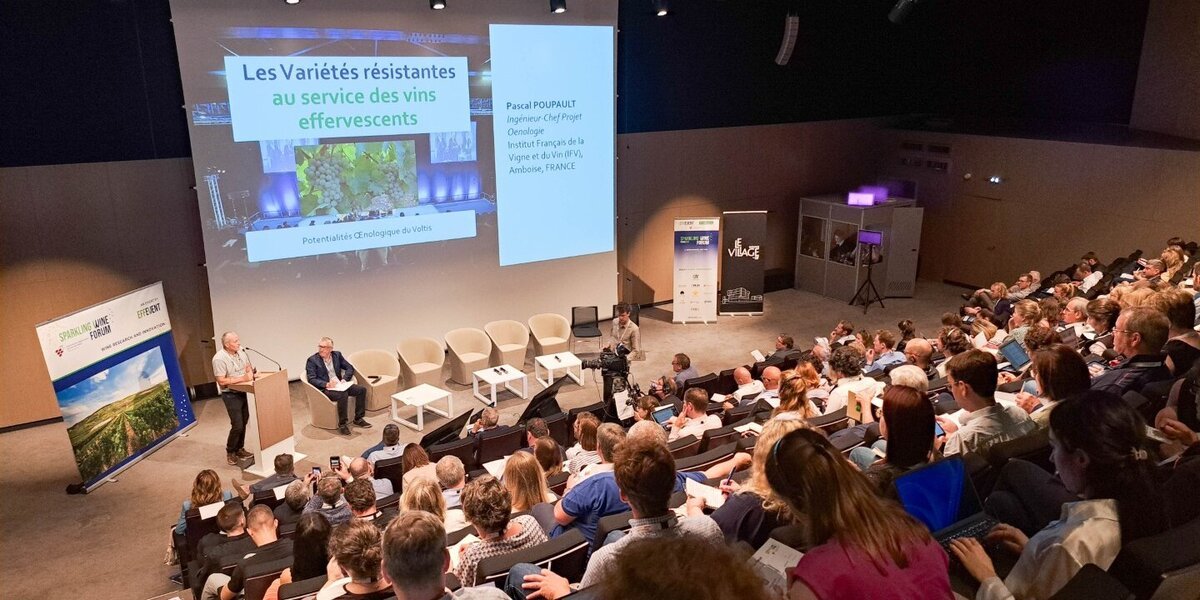 Sparkling Wine Forum : une 4e édition en Champagne