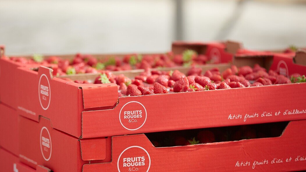 photo de Fruits rouges & Co