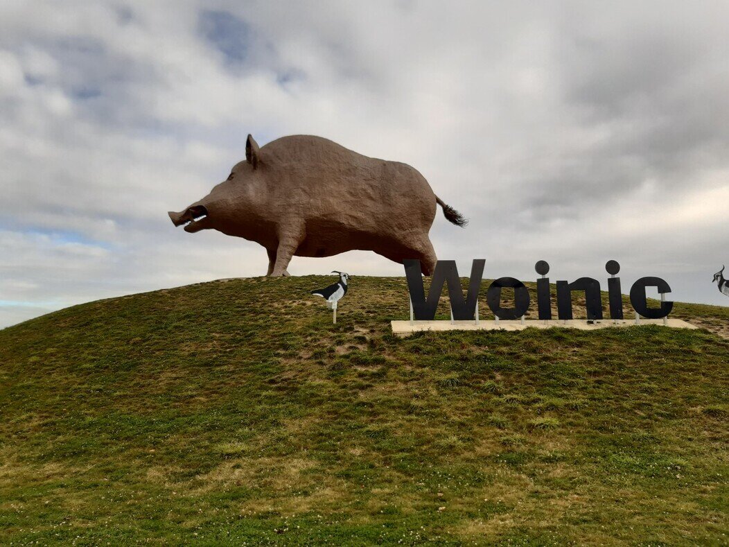 Woinic 