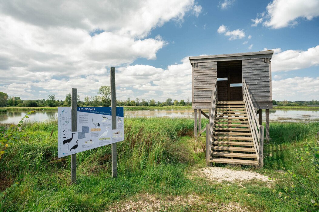 Photo des prairies humides de Davrey