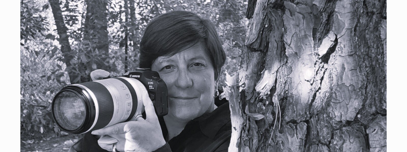 Marie Beaurain
