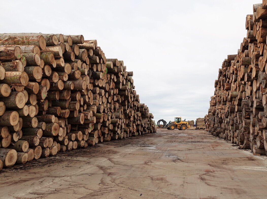 Photo d'une pile de bois