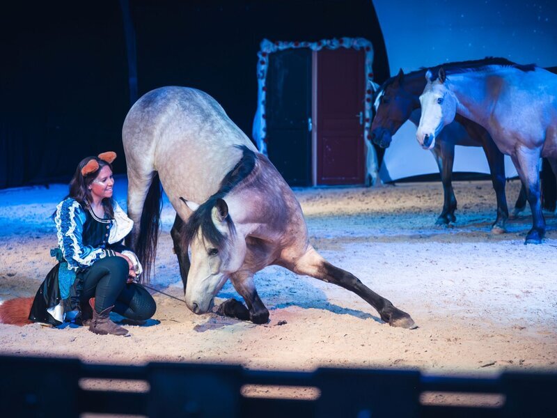 Photo de Claire Bertin
