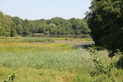 Fondation Sommer