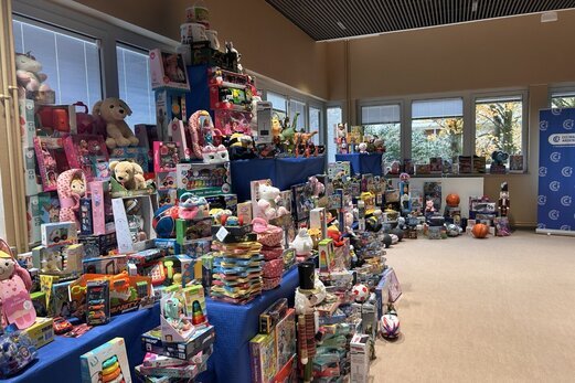 Jouets collectés sur le territoire Marne Ardennes