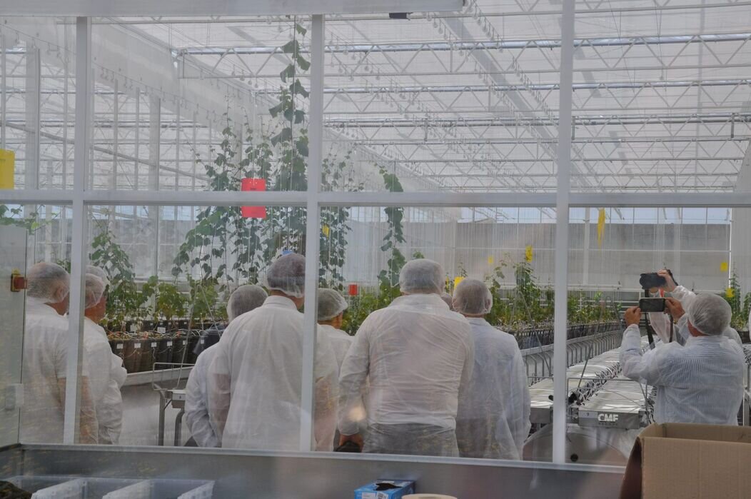 Photo de la serre bioclimatique Qanopee