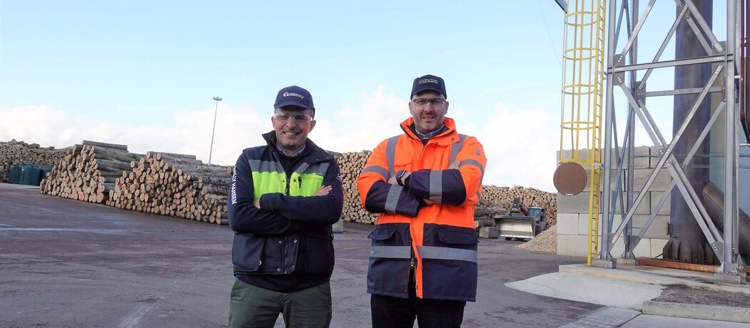 Dirigeants de bois déroulés de Champagne