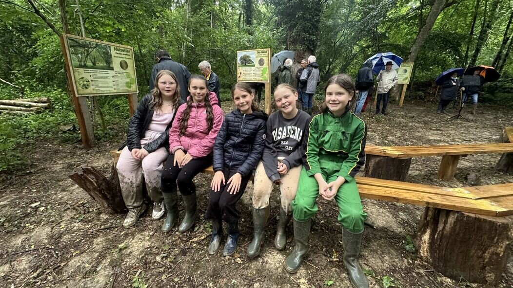 Photo Salle de classe en forêt
