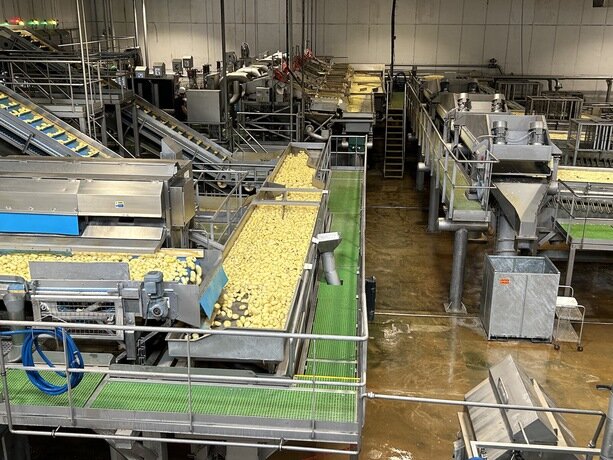 Photo des patates utilisés dans la production
