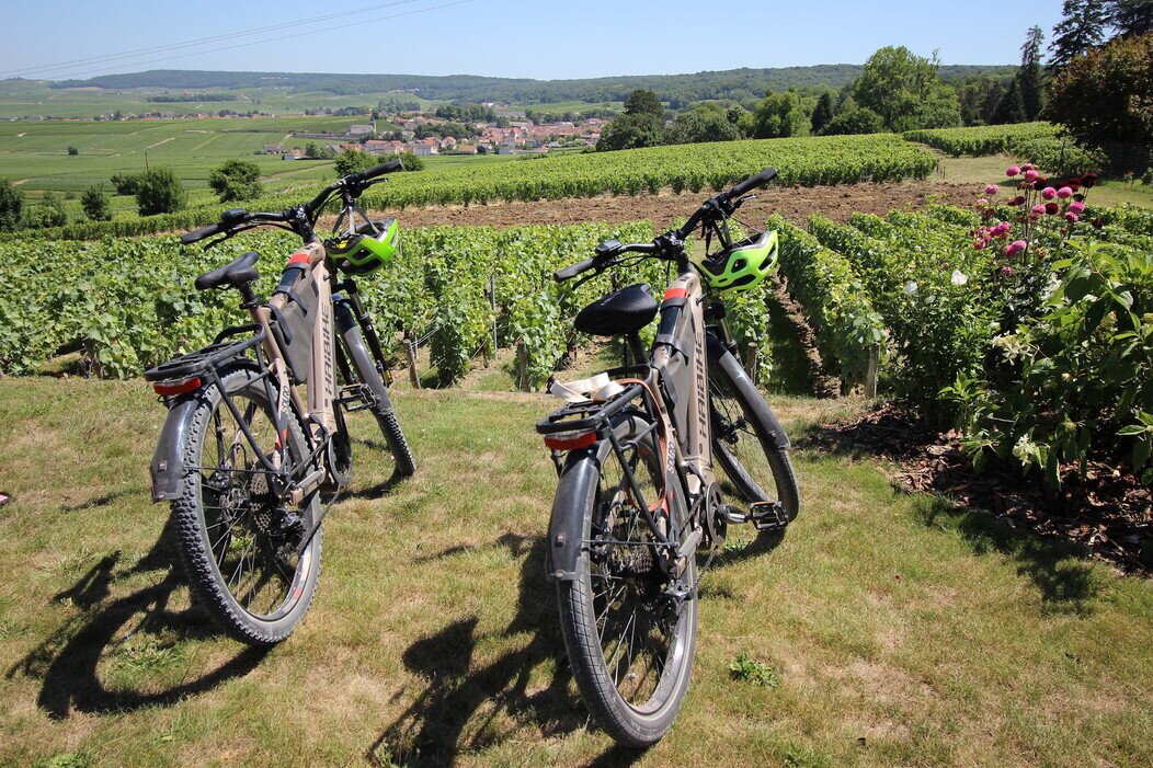 Photo de plusieurs vélos