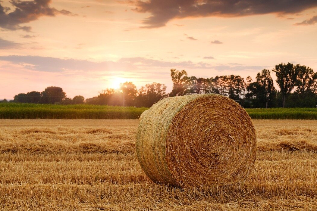 Technologie agricole : Six entreprises de l'Aisne attendues au Sima