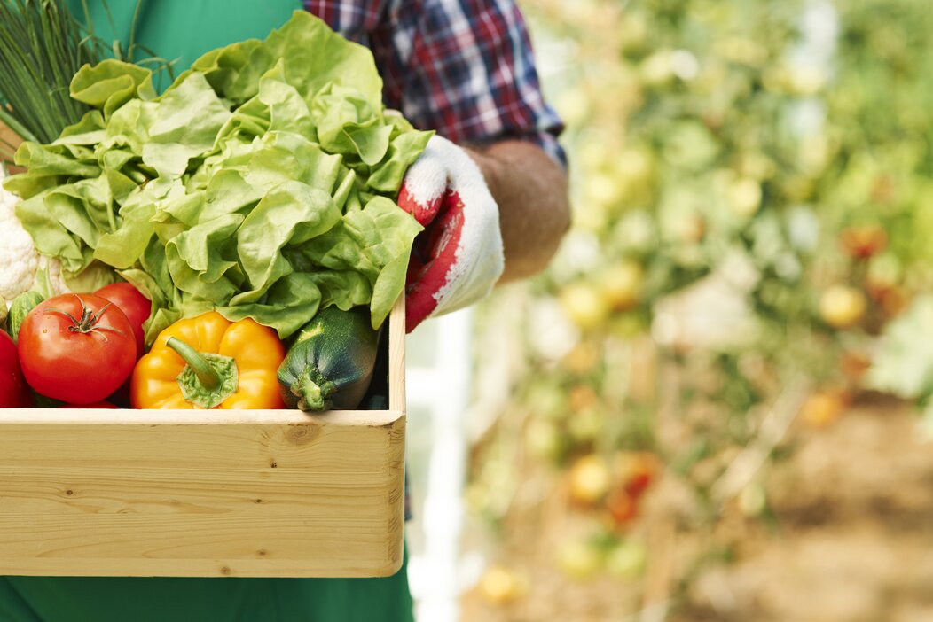 Photo d'un agriculteur portant une caisse de légumes