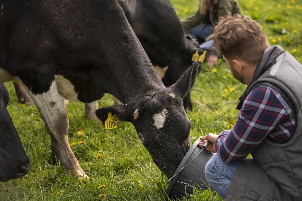 Photo d'un agriculteur avec une vache